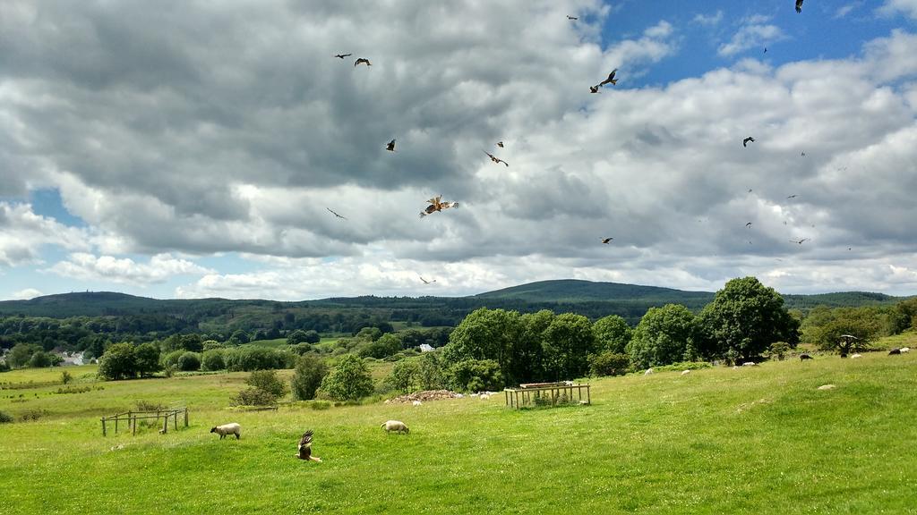 Craighindle Villa Newton Stewart Dış mekan fotoğraf